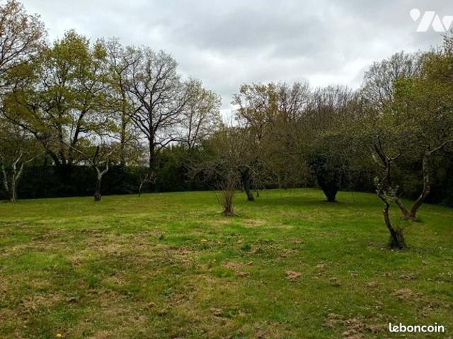 Maison vente à Châteaubriant-Ancenis, Pays de la Loire
