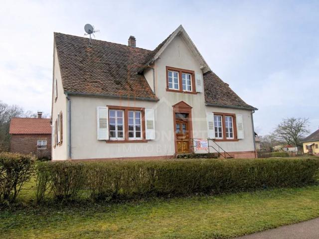 Maison vente à Haguenau-Wissembourg, Riedseltz