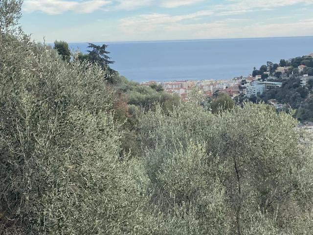 Maison vente à Nice