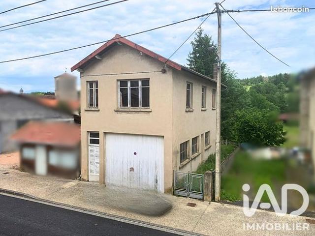 Maison vente à Ambert, Saint-alyre-d'arlanc