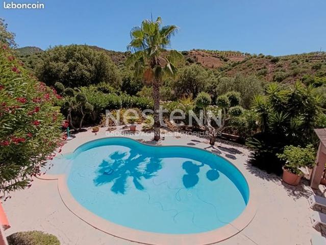 Maison vente à Calvi, Oletta