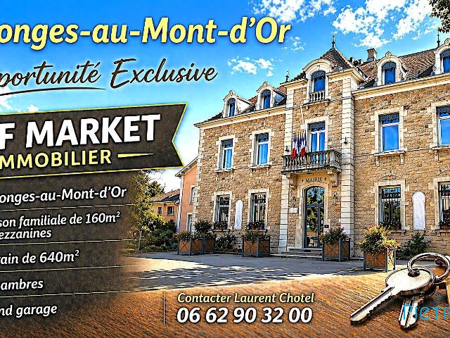 Maison vente à Lyon, Métropole de Lyon