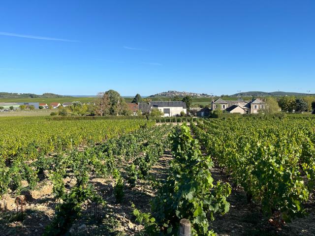 Maison vente à Verdigny, Cher