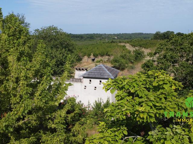 Maison vente à Langon, Aillas