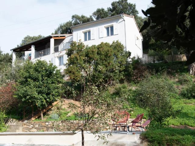 Maison vente à Calvi, Poggio-d'oletta