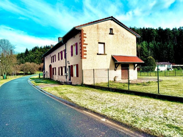 Maison vente à Sarrebourg-Château-Salins, Lafrimbolle
