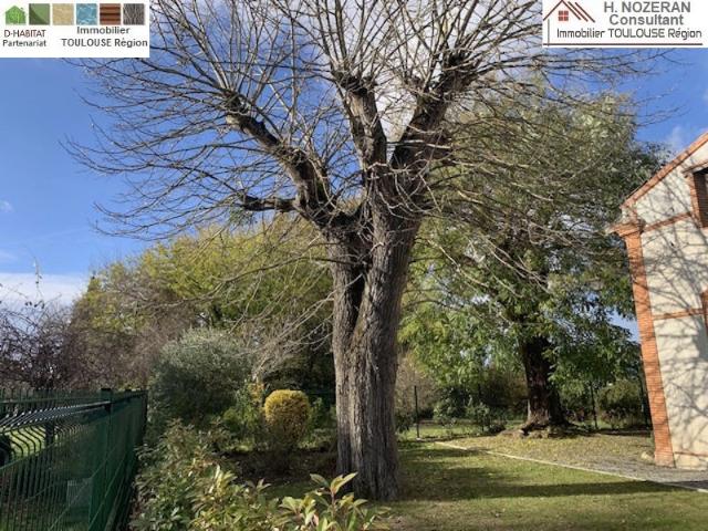 Maison vente à France métropolitaine, Balma