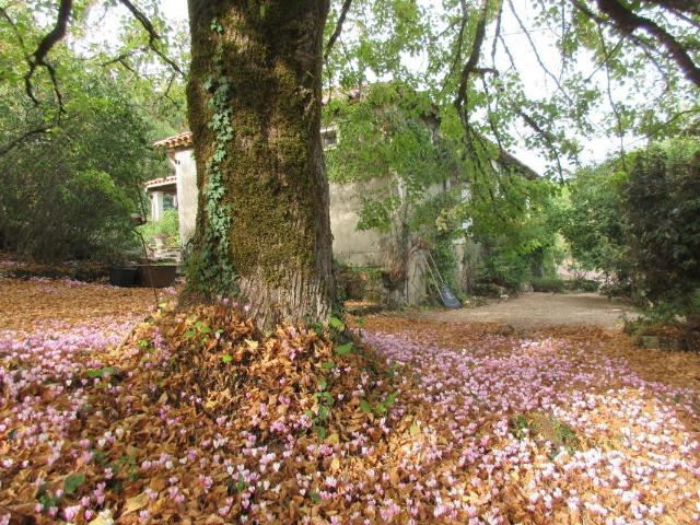 Maison vente à La Gonterie-Boulouneix, Brantôme en Périgord