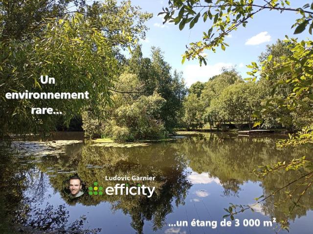 Maison vente à Avranches, Bion