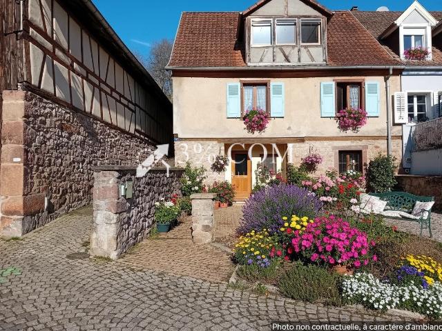 Maison vente à Sélestat-Erstein, Andlau