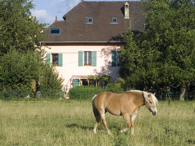 Maison vente à Miguelet, Fillinges