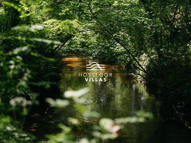 Maison vente à Dax, Angresse