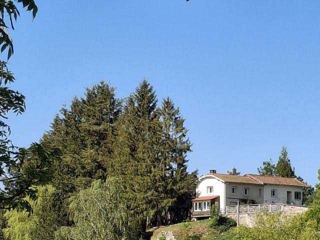 Maison vente à Le Fieu, Saint-Julien-d'Ance