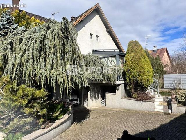 Maison vente à Mulhouse, Illzach