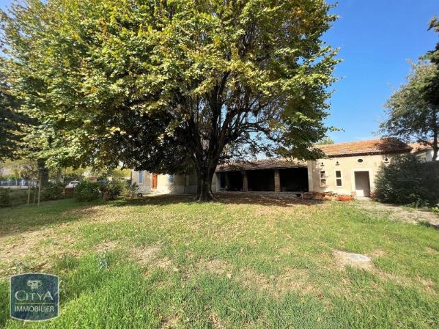 Maison location à Avignon, Entraigues-sur-la-sorgue
