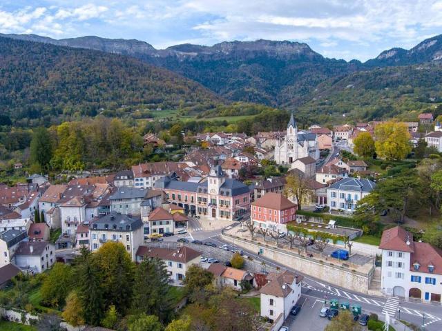 Maison vente à Gex