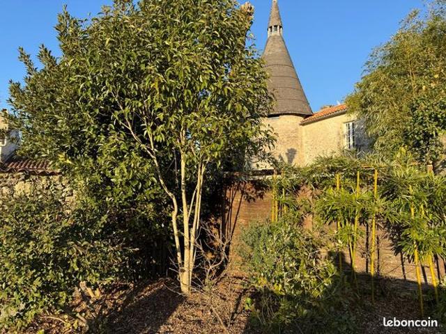 Maison vente à Saint-Jean-d'Angély, Cherbonnières