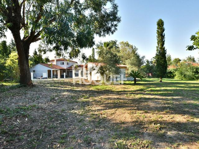 Maison vente à Céret, Maureillas-las-illas