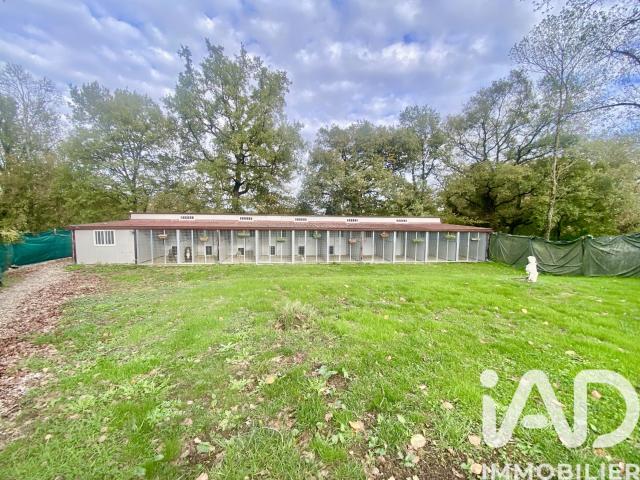 Maison vente à Nérac, Calignac