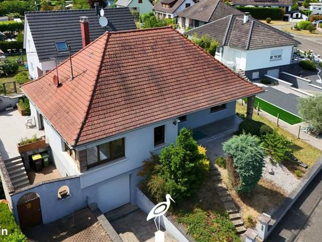 Maison vente à Haguenau-Wissembourg, Bischwiller
