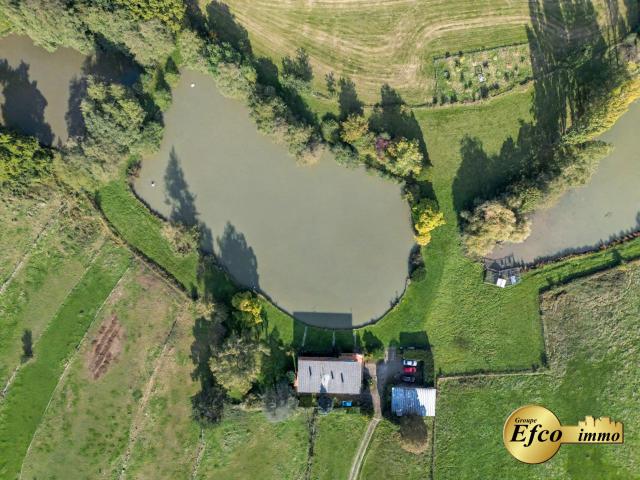 Maison vente à Sternenberg, Collectivité européenne d'Alsace