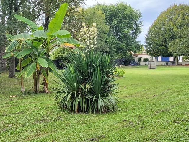 Maison vente à France métropolitaine, Courcelles