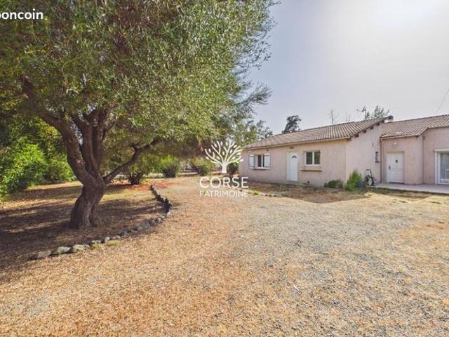 Maison vente à Corte, Prunelli-di-fiumorbo