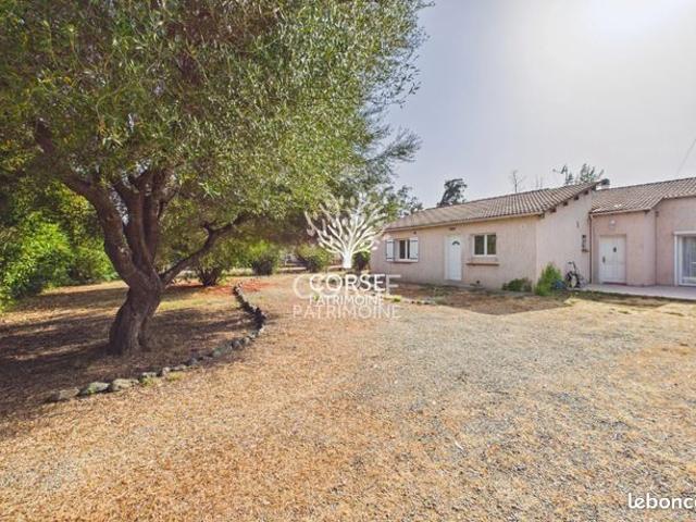 Maison vente à Corte, Prunelli-di-fiumorbo
