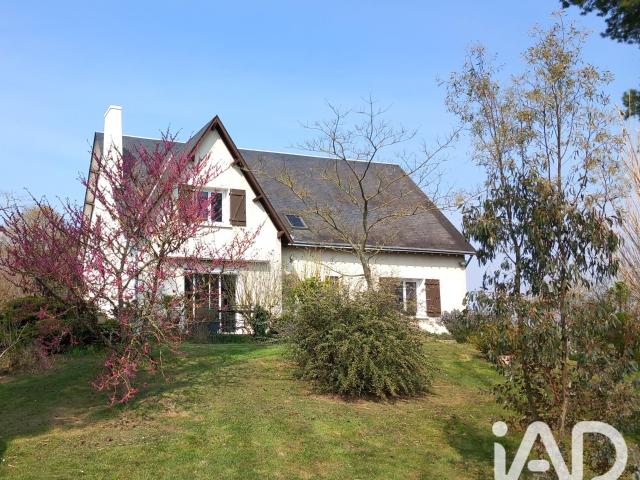 Maison vente à Blois, Chaumont-sur-loire