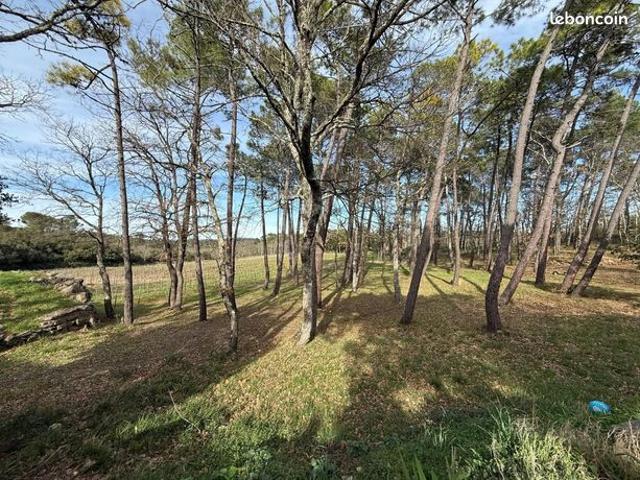 Maison vente à Flassans-sur-Issole, Var