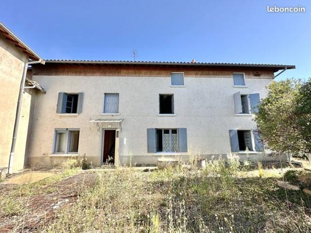 Maison vente à Lyon, Métropole de Lyon