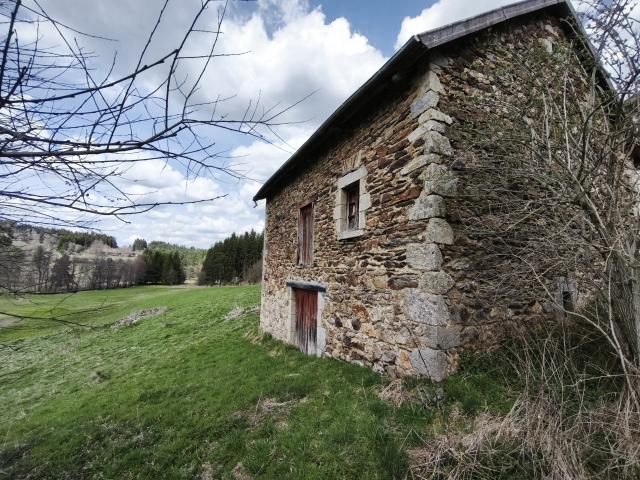 Maison vente à Ambert, Saint-alyre-d'arlanc
