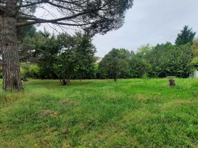 Maison location à Toulouse