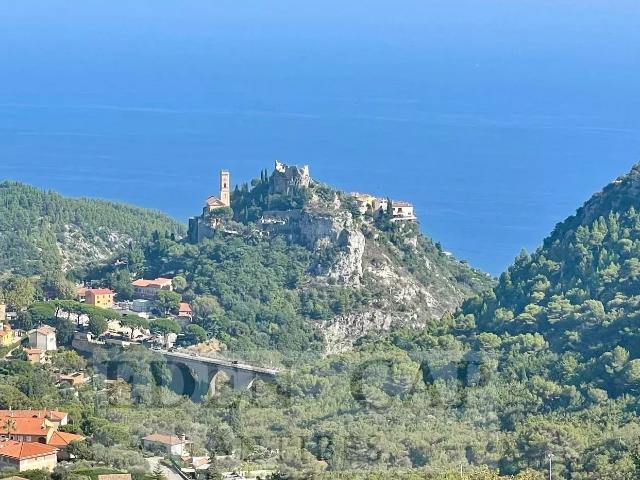 Maison vente à France métropolitaine, La Trinité
