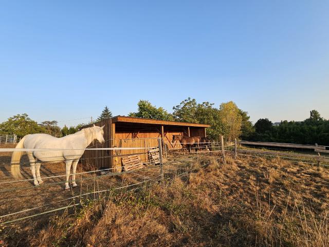 Maison vente à Marmande, Grateloup