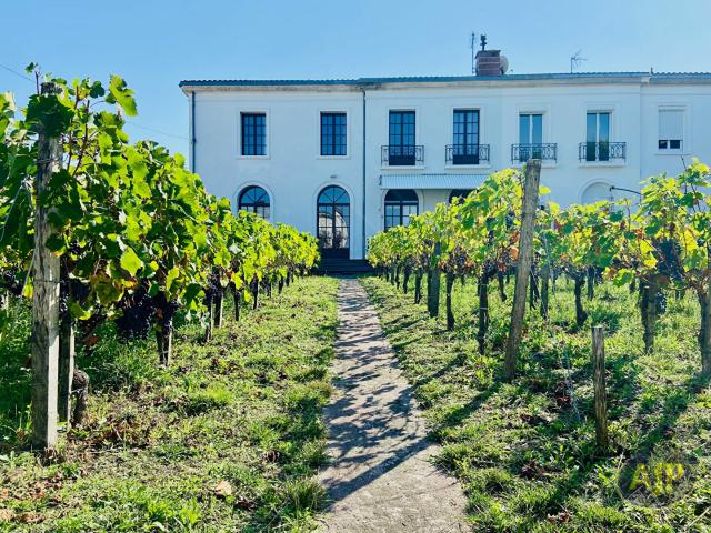 Maison vente à Lesparre-Médoc, Saint-vivien-de-médoc