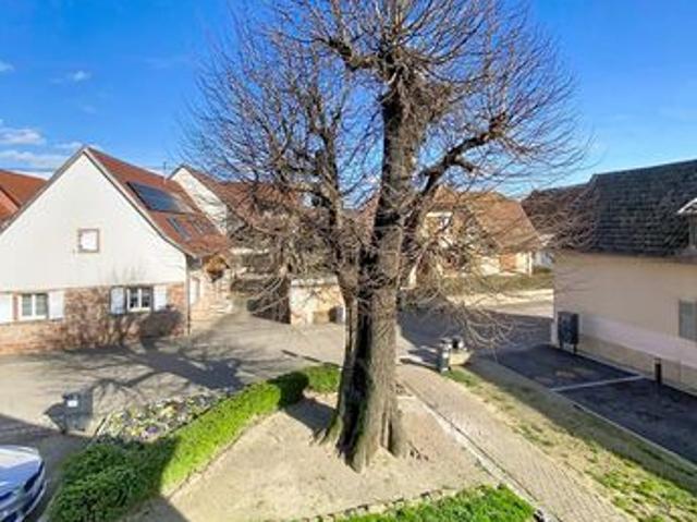 Maison vente à Sélestat-Erstein, Krautergersheim