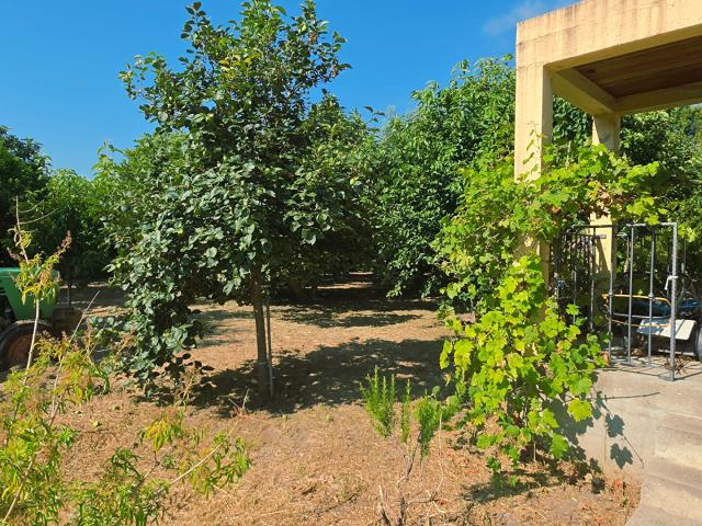 Maison vente à Bastia, Furiani