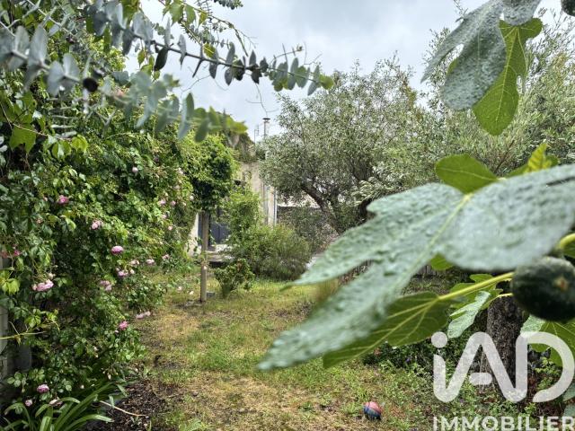 Maison vente à Angers, Chalonnes-sur-loire