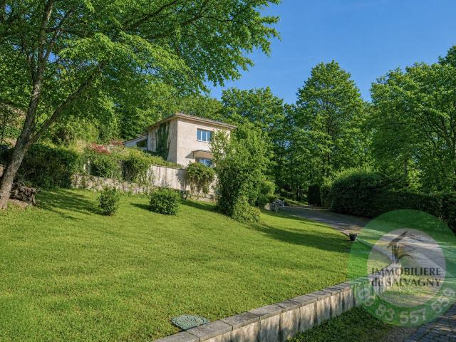 Maison vente à Lyon, Métropole de Lyon