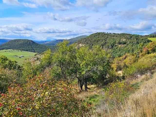 Maison vente à Arrondissement de Draguignan, Bargème