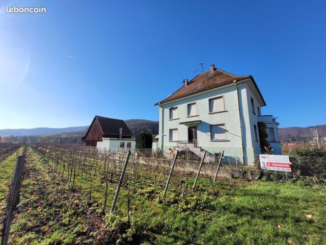 Maison vente à Colmar-Ribeauvillé, Grand Est