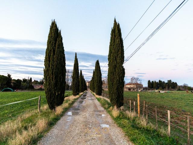 Maison vente à Aimargues, Gard