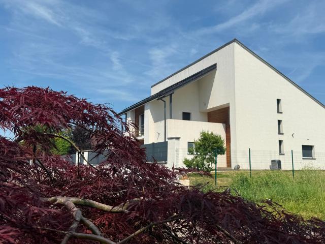 Maison vente à Mulhouse, Steinbrunn-le-bas