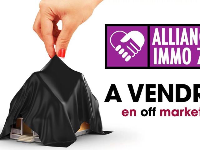 Maison vente à Versailles, Plaisir