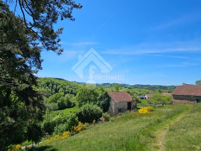 Maison vente à Vichy, Le Mayet-de-montagne
