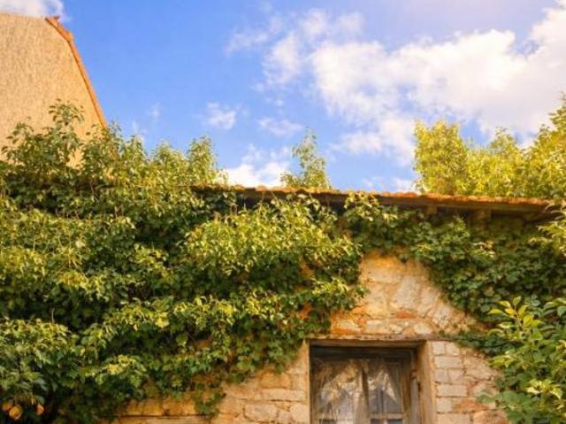 Maison vente à Montpellier, Bouzigues