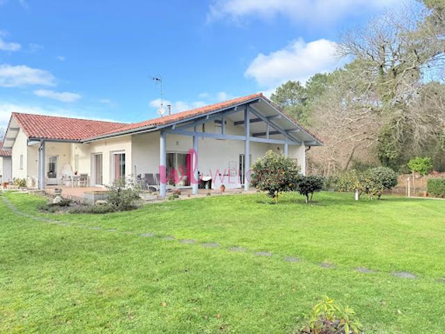 Maison vente à Dax, Léon