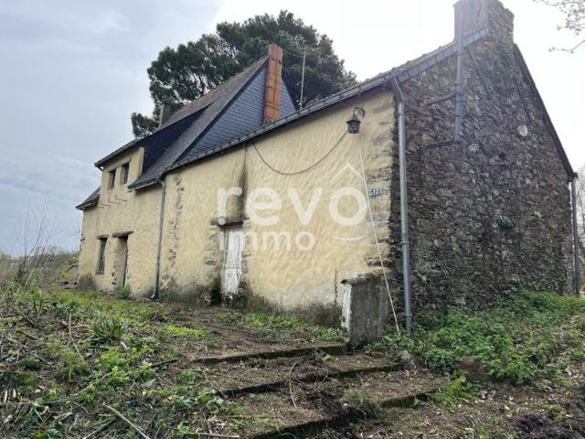 Maison vente à Châteaubriant-Ancenis, Plessé