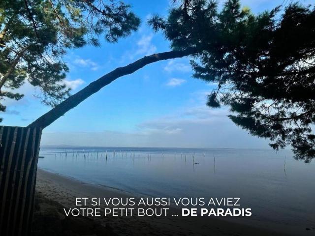 Maison vente à France métropolitaine, Lège-cap-ferret